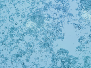 Frost pattern on winter glass. Ice texture on the window