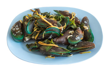 Steam mussels with herbs in plate on white background.