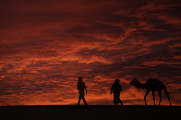 Silhouettes of two men with a camel (dromedary) in the desert against dark, red, cloudy sky.
