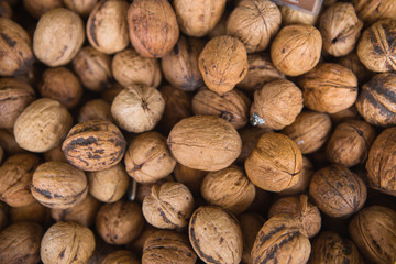 Natural walnut background pattern texture