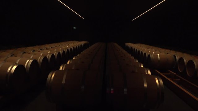 Panoramic view of a cellar with barrels and emphores