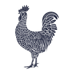 Rooster. Hen or chicken hand drawn with contour lines on white background. Elegant monochrome drawing of domestic farm poultry bird. illustration in vintage woodcut, engraving or etching style. Vector