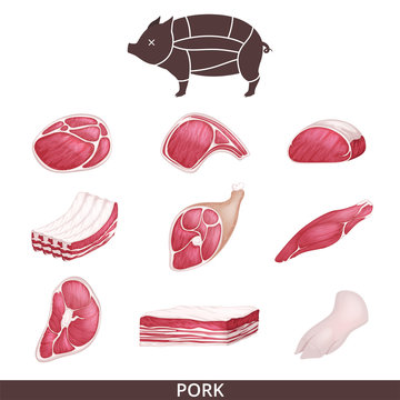 Lamb, pork beef, and other meat pictures in flat style. Steak of beef, raw pork meat.