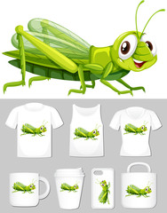 Obraz na płótnie Canvas Graphic of cricket on different product templates