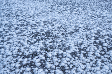 Snow texture. Natural winter background