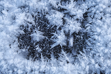 Snow texture. Natural winter background