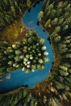 Isle in the forest from above
