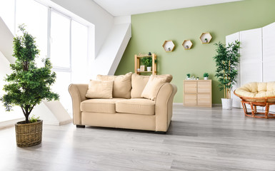 Stylish interior of room with green houseplants