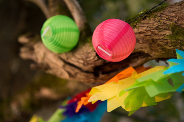 Fototapeta na wymiar des guirlandes lumineuses sur un arbre pour une fête