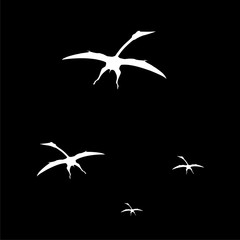 Pteranodon Pterodactyl silhouette illustration isolated on black background © sljubisa