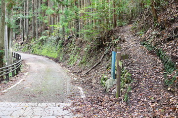 熊野古道 九十九王子 中川王子