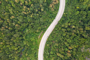 Aerial top view of pathway road in forest, view from drone