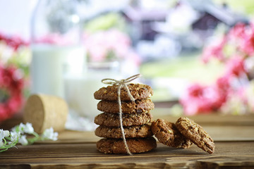 Fresh oatmeal cookies with milk on a texture wood background. Christmas gingerbread cookie and a glass of milk.