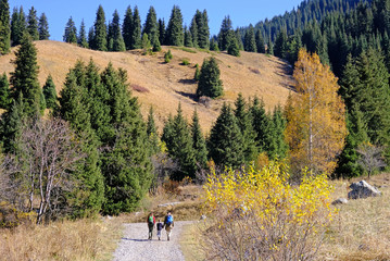 Walking tourists on the mountain trail at sunny day; happy family has trekking in the highlands, concept of active people in autumn season