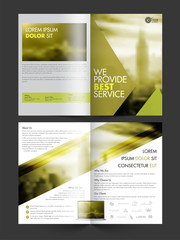 Professional Four Pages Business Brochure Set.