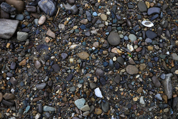 Sea pebbles on the beach. Stone texture