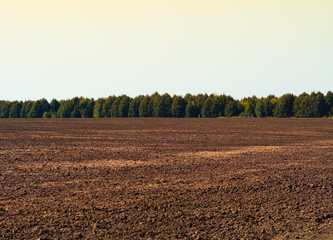 Autumn tillage field landscape background