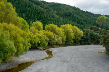 Dry river bed lines by shades of green trees and hillside vegetation