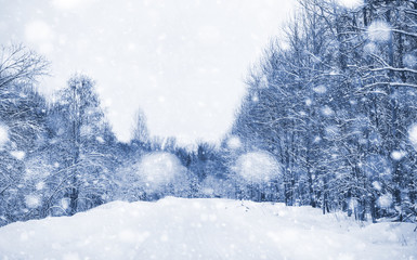 Obraz na płótnie Canvas Landscape in the winter day