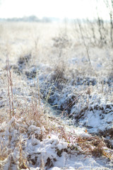 Winter Park. Landscape in snowy weather. January.