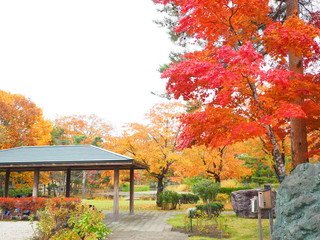 Obraz premium 北海道の秋風景 玉泉館跡地公園