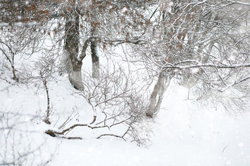 Fototapeta premium Winter landscape of country fields and roads