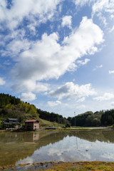 新潟の田園風景