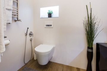 Fototapeta na wymiar toilet and detail of a corner shower bidet with wall mount shower attachment