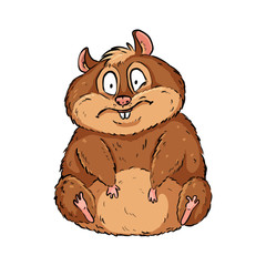 Cartoon illustration of a cute fat frustrated hamster. Comic style pet