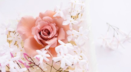 Obraz na płótnie Canvas 美しい薔薇とジャスミンの花、白背景