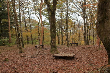 It&rsquo;s starting to feel like fall