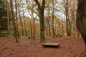 It&rsquo;s starting to feel like fall