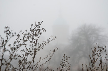 Small village with church and tree silhouette in a fog