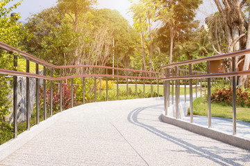 Scenic view of the park with Green tree and green grass with light blue sky and orange sunrise