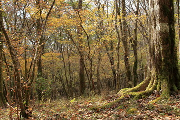 It’s starting to feel like fall