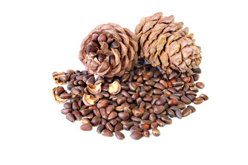 Cedar nuts in the shell with uncovered and unopened cones isolated on the white
