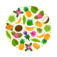 Circle with tropical fruit pattern. Vector illustration on a white background.