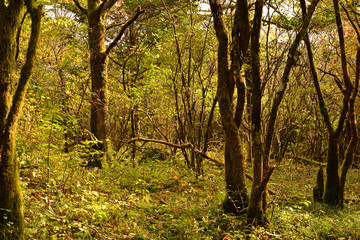 It’s starting to feel like fall