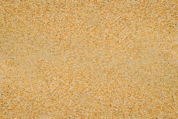 Wet beach sand background and texture 2. Clear sand on Mediterranean Sea on Costa Brava, Spain.
