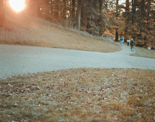 People strolling in the sunny afternoon autumn park