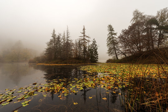 Lago di Cei, small lake in Italian Alps with fog in autumn. Villa Lagarina, Trento province, Trentino Alto Adige, Italy, Europe