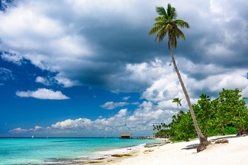 paradise tropical beach