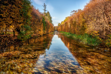 Fototapeta na wymiar Gdansk, Poland, autumn - fragment of the Oliwa Park in the Gdansk Oliwa district