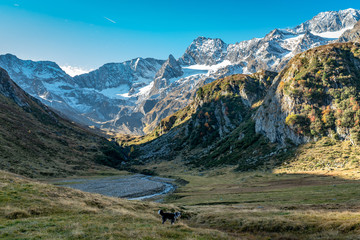 Hiking path at Timmelsjoch and Texelgruppe nature park leading to the Seebersee with the alpine mountains in the background and a dog in the foreground