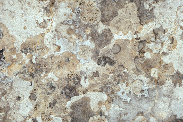 Close up of stone with lichen. Nature background.