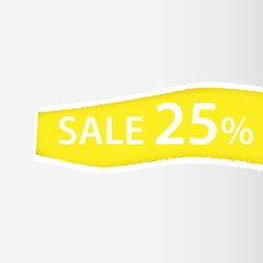 Torn paper holes. Hole in the sheet of paper on a color background for web and print.