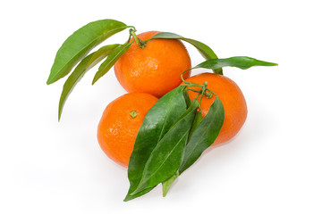 Mandarin oranges with small twigs with leaves on white background