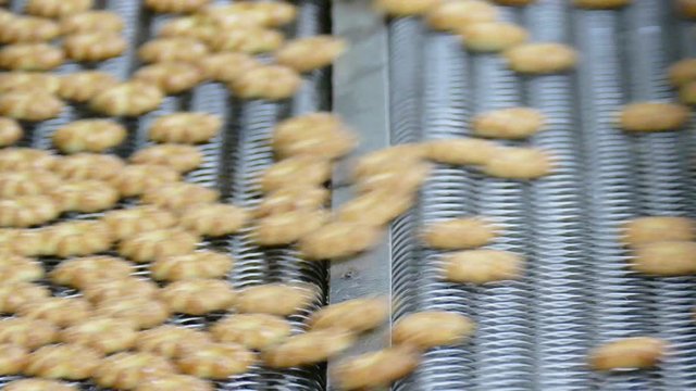 biscuit on production line in industrial