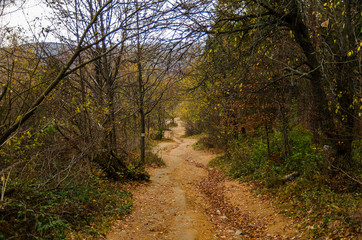 turystyczny szlak bieszczady 