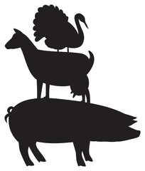 Domestic farm animals - pig, turkey and goat